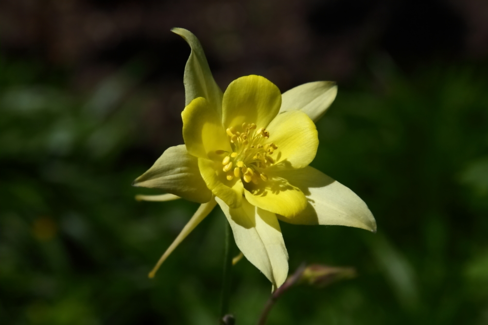 2012 05 20 3719